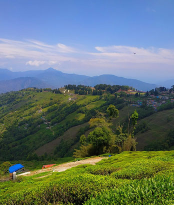 Darjeeling