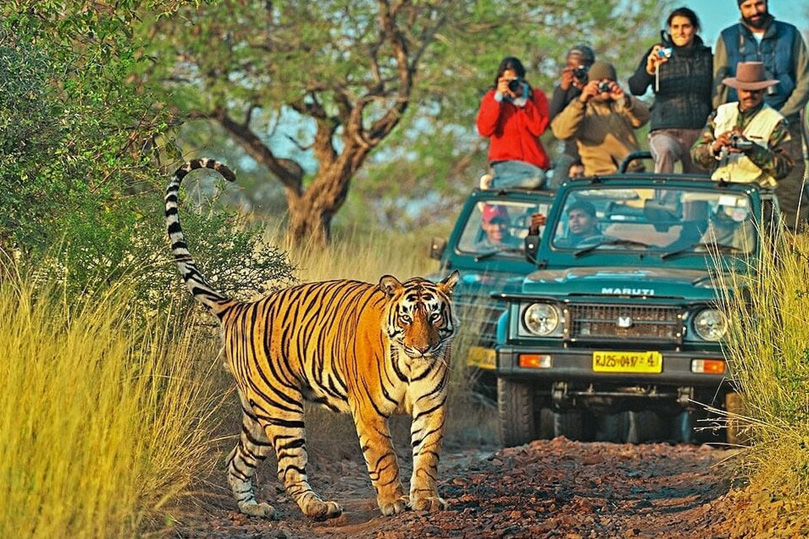 Golden Triangle with Ranthambore Tour